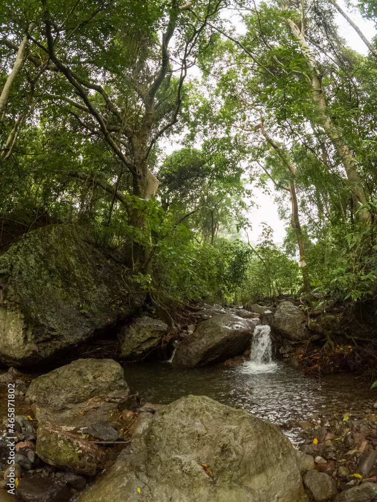 Naklejka premium la sidra