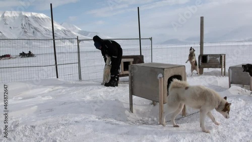 Spitsbergen, Norway-21 April 2011: Man at base of dog sled team husky eskimo on North Pole in Arctic. Way from airport Longyear to Pyramiden Spitzbergen on background of mountains Svalbard. photo