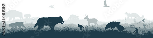 Seamless panorama of the prarie with grey wolf, pronghorn, kite, bobcat, fox,  western meadowlark , heron, scissor-tailed Flycatcher, Prairie dog and brown zubr buffalo bison