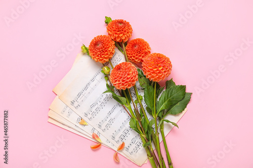 Beautiful dahlia flowers an...