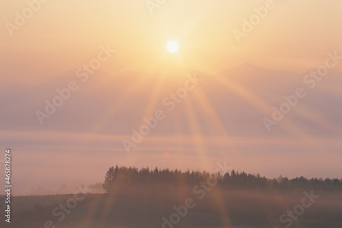 Wallpaper Mural 朝日と十勝連峰と朝霧の雲海, 上富良野町,北海道 Torontodigital.ca