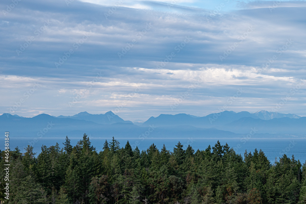 Fototapeta premium vast blue ocean over the wall of green pine tree with mountain range over the horizon buried in hazy clouds