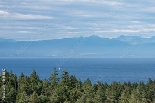 vast blue ocean over the wall of green pine tree with mountain range over the horizon buried in hazy clouds
