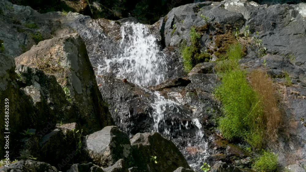 Creek flows among rocks. Waterfall and stream over rocks in green forest. Ecosystem boulders and plants Creek flows among rocks. Waterfall and stream over rocks in green forest. Ecosystem boulders and plants