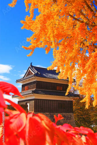 紅葉のイチョウと桜と西櫓, 上田市,長野県
