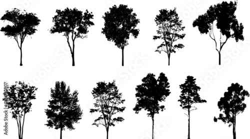 collection of trees vector on white background