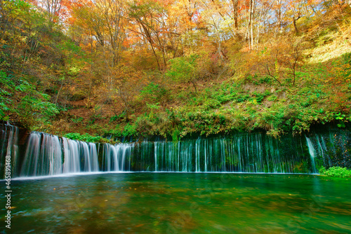紅葉の白糸の滝, 日本,長野県,北佐久郡,軽井沢町