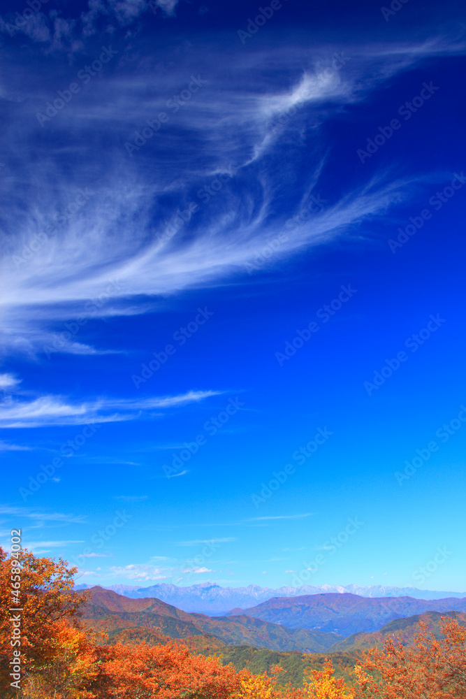 鹿島槍ヶ岳など北アルプスの山並みと秋空と紅葉の樹林, 日本,長野県,小県郡,青木村 鹿島槍ヶ岳など北アルプスの山並みと秋空と紅葉の樹林, 日本,長野県,小県郡,青木村