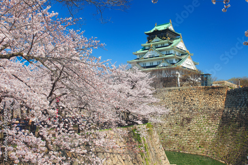 桜咲く大阪城, 日本,大阪府,大阪市