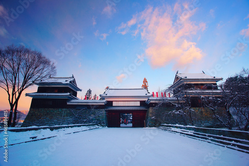 冬の朝の上田城, 日本,長野県,上田市