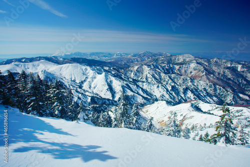 Wallpaper Mural 横手山山頂の樹氷群と浅間山と四阿山, 日本,長野県,下高井郡,山ノ内町 Torontodigital.ca