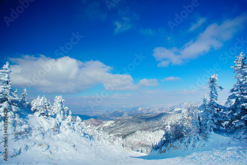 Wallpaper Mural 横手山山頂の樹氷群と妙高山方向の山並み, 日本,長野県,下高井郡,山ノ内町 Torontodigital.ca