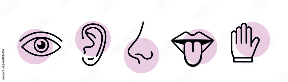 Human sense five types. Vision through eye, smell with nose, taste with tongue. Symbols Drawn icon. Isolated flat vector illustration on white background - obrazy, fototapety, plakaty 