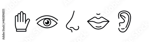 Human sense 5 five types. Vision through eye, smell with nose, taste with tongue line icon set.. Symbols Drawn icon. Vector illustration on white background photo
