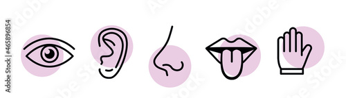 Human sense five types. Vision through eye, smell with nose, taste with tongue. Symbols Drawn icon. Isolated flat vector illustration on white background