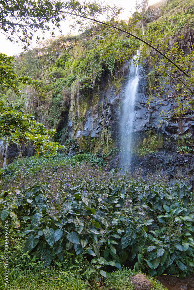 Obraz premium waterfall in the forest