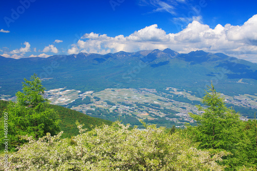 入笠山から望むコナシの花と八ケ岳, 日本,長野県,諏訪郡,富士見町 photo