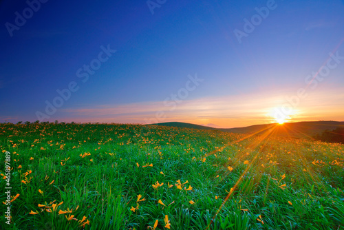 ニッコウキスゲと朝日, 甲信越,長野県,諏訪市