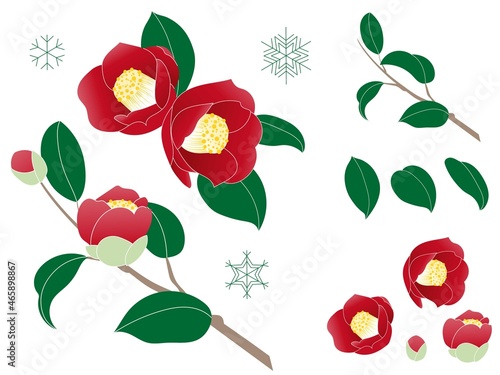 冬の花　椿のイラスト