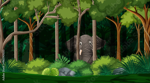 Photography Wild animals in forest landscape background