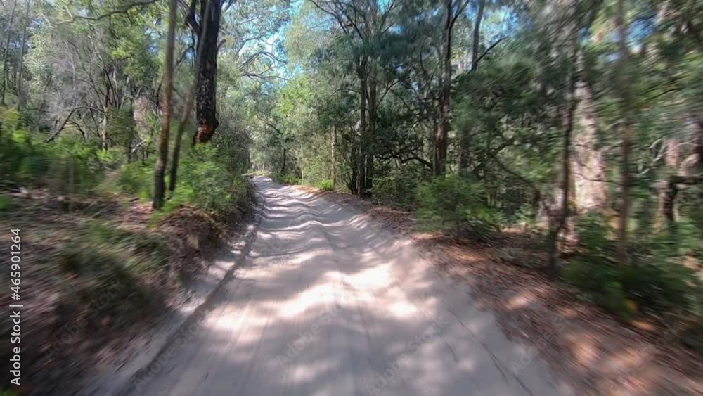 Rear facing driving point of view POV 4x4ing along a shady and bumpy inland track, in a dense jungle with overhanging trees - ideal for interior car scene green screen replacement Rear facing driving point of view POV 4x4ing along a shady and bumpy inland track, in a dense jungle with overhanging trees - ideal for interior car scene green screen replacement