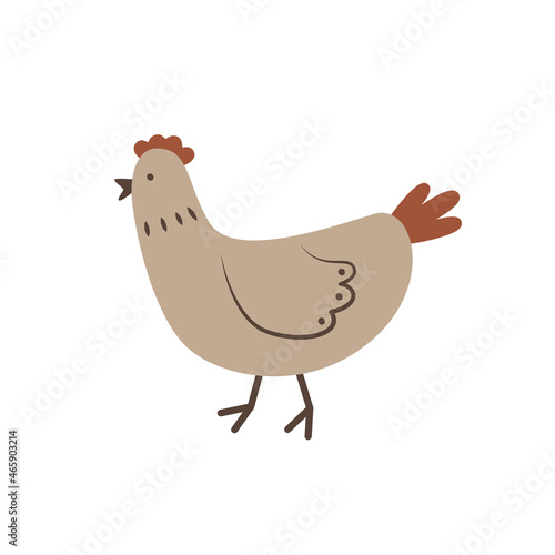 Cute cartoon chicken in doodle style. Farm poultry. Funny domestic animal. Simple flat icon. Illustration for food packaging design, children's educational books and games. Livestock item.
