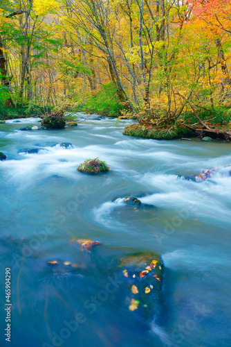 三乱の流れと紅葉, 日本,青森県,十和田市
