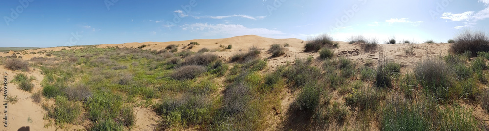 Kalmykia. Deserted area of the steppe. Kalmykia. Deserted area of the steppe.