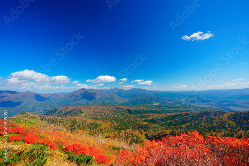 赤岳第一花園から望むナナカマドの紅葉と武利岳などの山並み, 北海道,北海道,上川郡,上川町