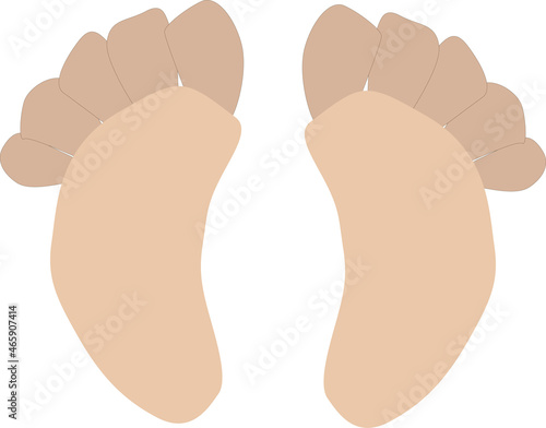 foot prints with toes,feet,vector drawing,isolate on a white background