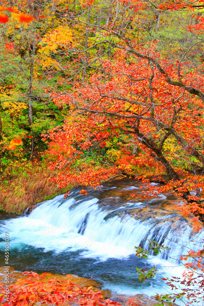 紅葉のハーモニカの滝, 日本,長野県,下水内郡,栄村 紅葉のハーモニカの滝, 日本,長野県,下水内郡,栄村
