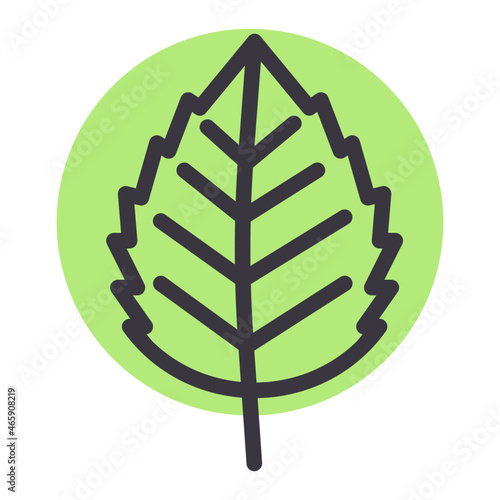 Elm Leaf Icon