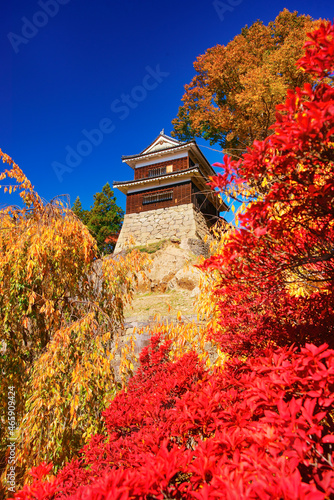 上田城の南櫓と西櫓とドウダンツツジなどの紅葉, 日本,長野県,上田市