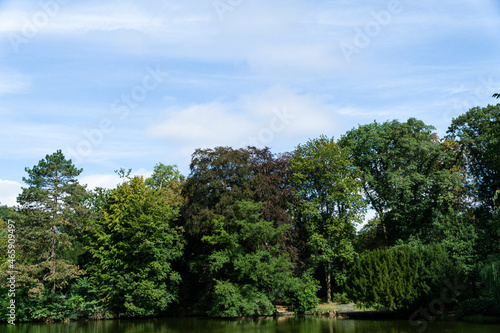 View to the lake shore with trees and blue sky