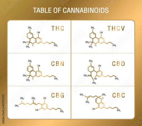 Cannabis skeletal cbd formula. Marijuana molecules vector set. Cannabis formula molecular, chemistry structure cannabinoid illustration gold color