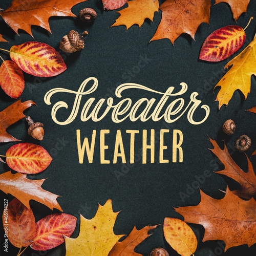 Sweater Weather Hand Lettering On A Photographed Black Background With Autumn Leaves