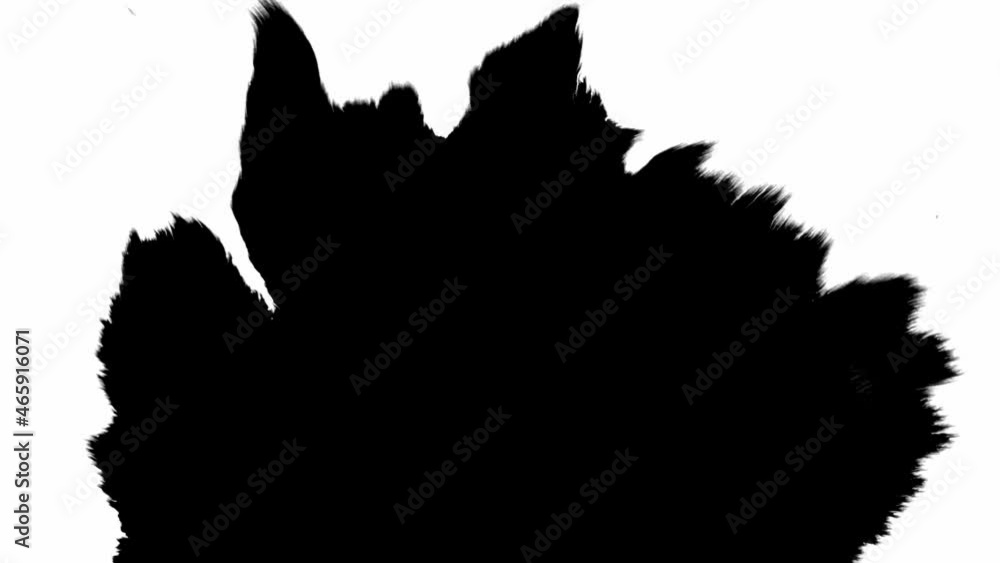 Black inks drops on white background. Drop white ink spreads Black inks drops on white background. Drop white ink spreads