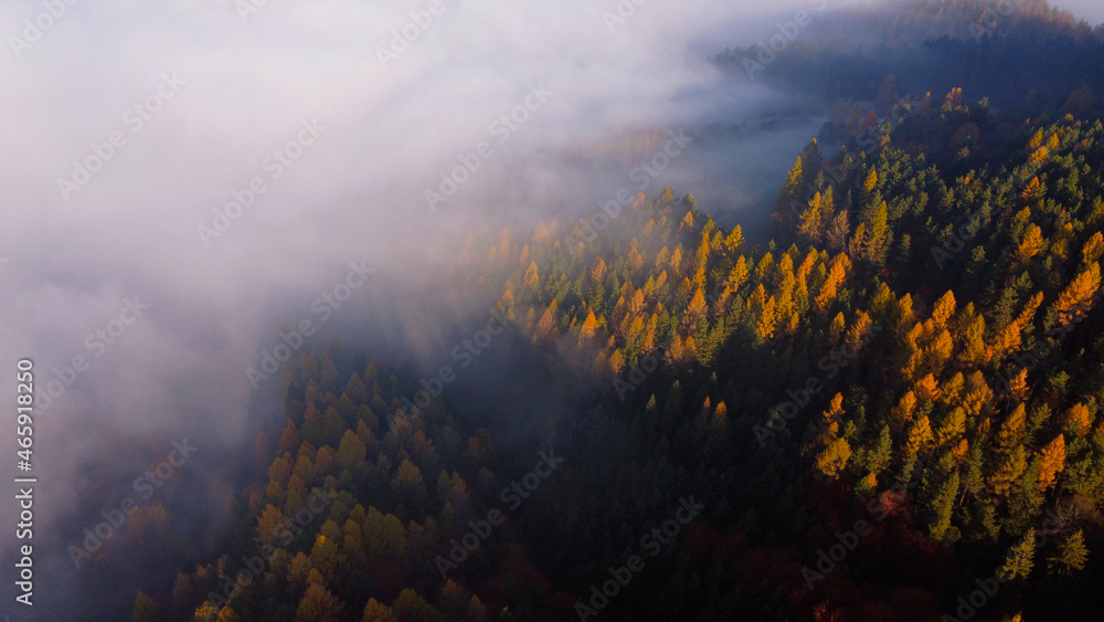 Fototapeta premium Poranne Mgły Jesień Muszyna