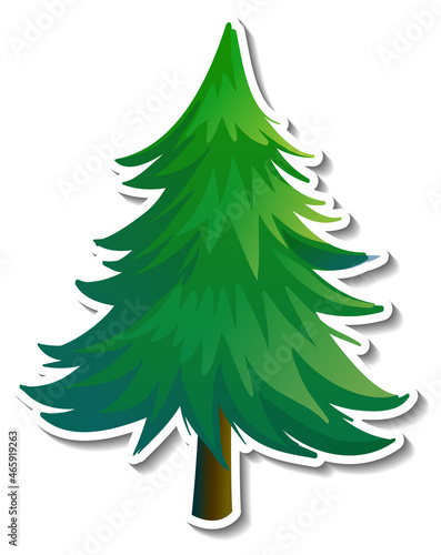 Pine tree sticker on white background