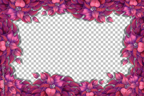 Nature plants frame transparent background