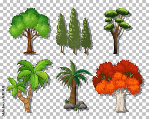 Set of variety trees on transparent background