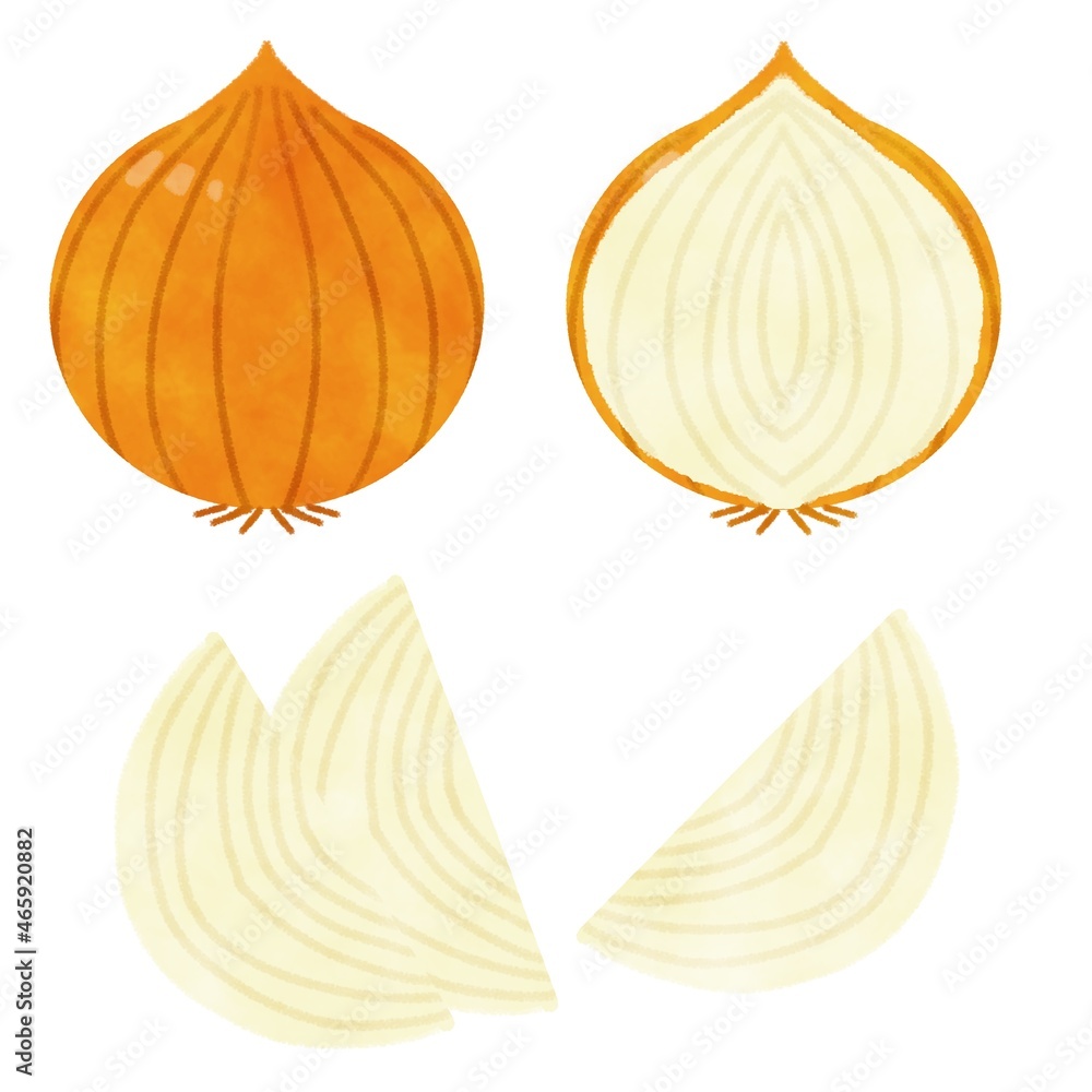玉ねぎ イラスト素材 カット Stock Illustration Adobe Stock 玉ねぎ イラスト素材 カット Stock Illustration Adobe Stock