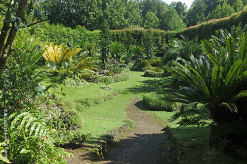 green exotic landscape on the azores