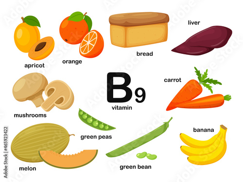 Rectangular poster with food products containing vitamin B9. Folic acid. Medicine, diet, healthy eating, infographics. Products with name.Flat cartoon food illustration isolated on a white background