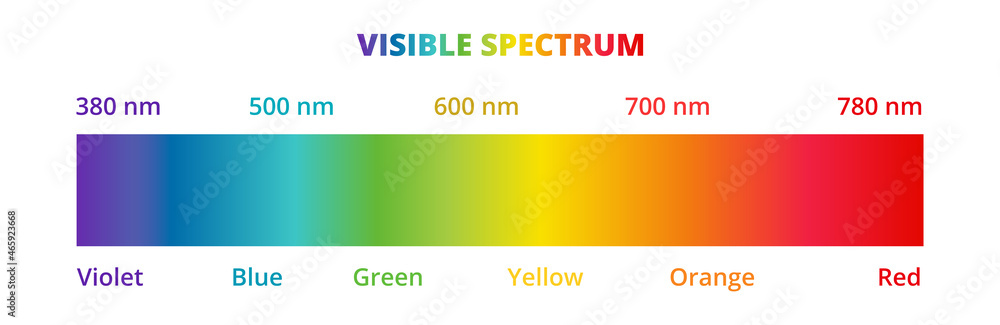 Visible light spectrum diagram isolated on a white background. Color electromagnetic spectrum visible to the human eye. Violet, blue, green, yellow, orange, and red color gradient. - obrazy, fototapety, plakaty 