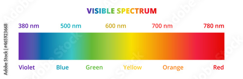 Visible light spectrum diagram isolated on a white background. Color electromagnetic spectrum visible to the human eye. Violet, blue, green, yellow, orange, and red color gradient.