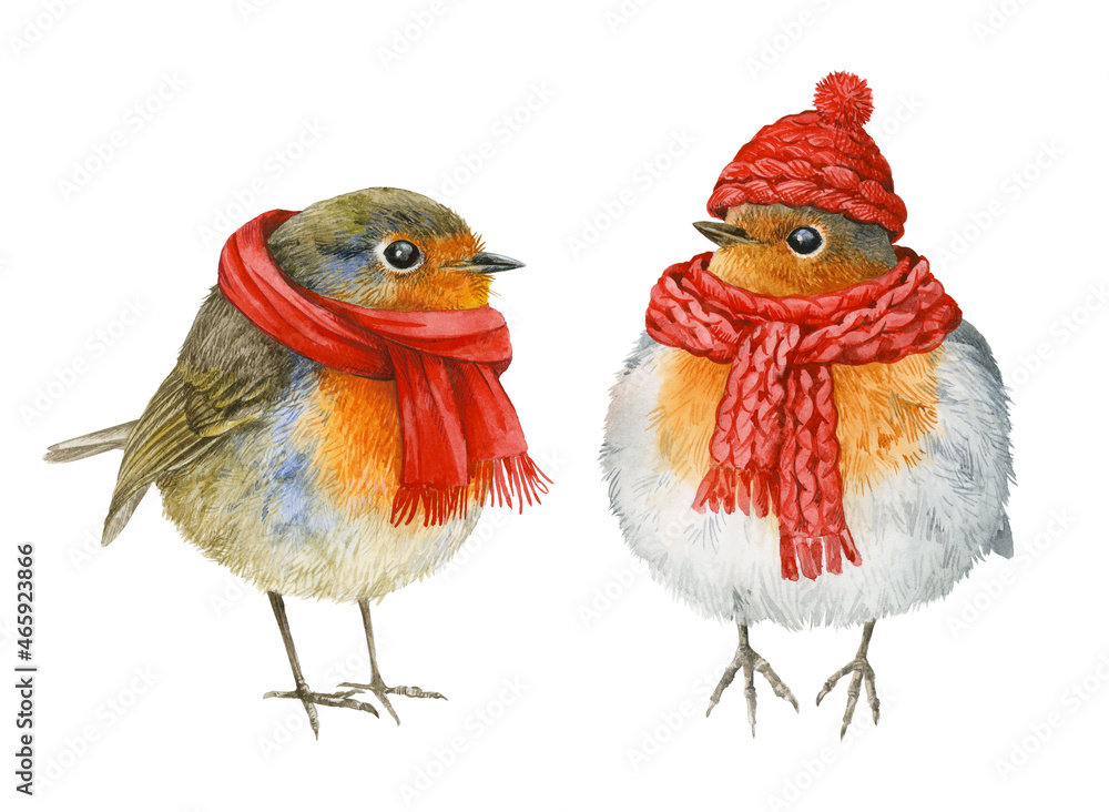 Fototapeta premium Watercolor set of winter birds in a hat and scarf. Christmas or New Year's illustration.