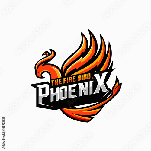 Phoenix logo vector template  illustration 