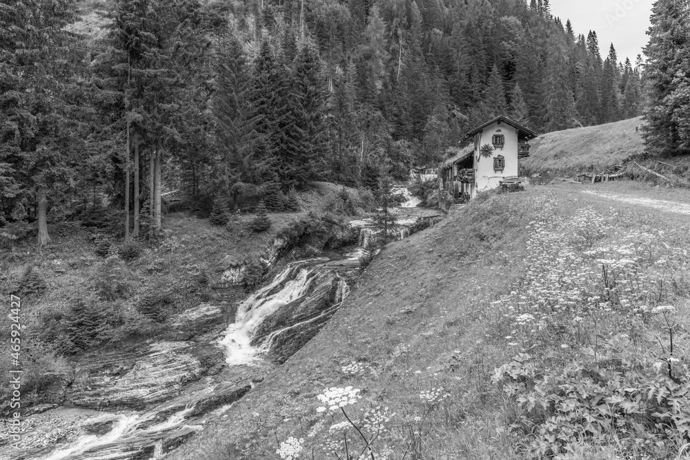 Summer mountain landscapes. Glimpses of poetry. Black and white.