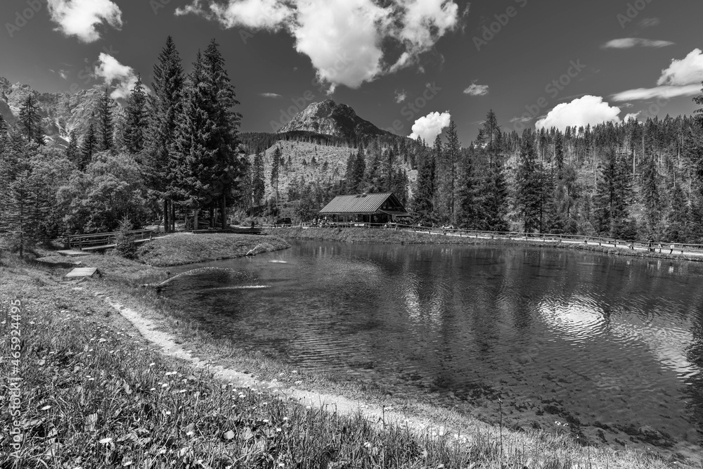 Summer mountain landscapes. Glimpses of poetry. Black and white.